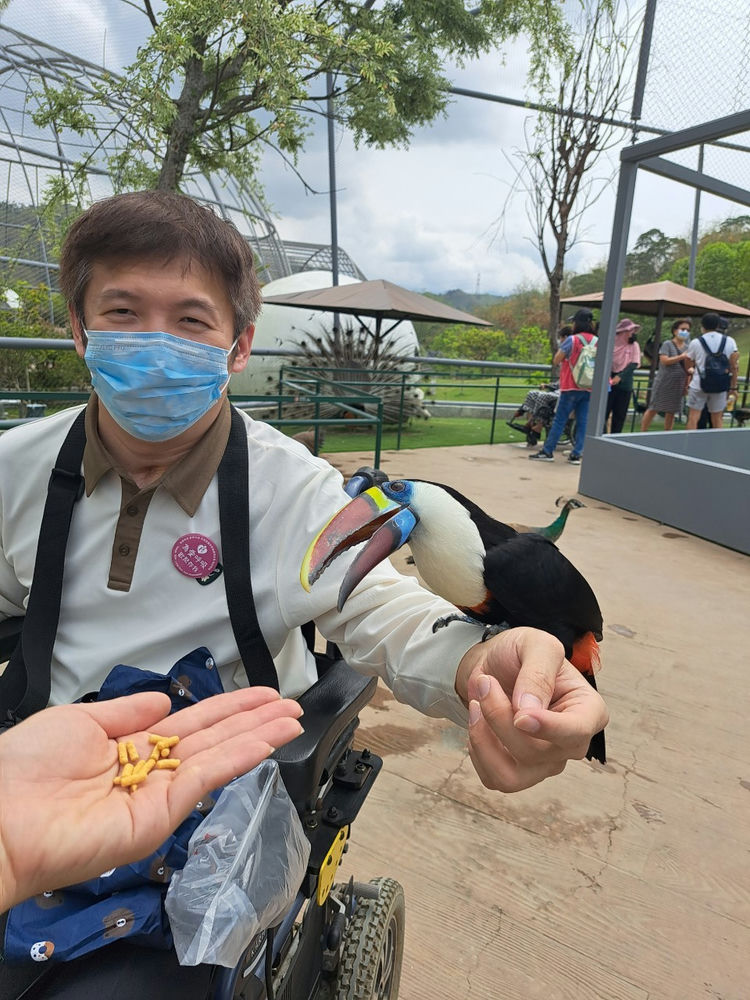 九九峰可愛動物世界歡聚會